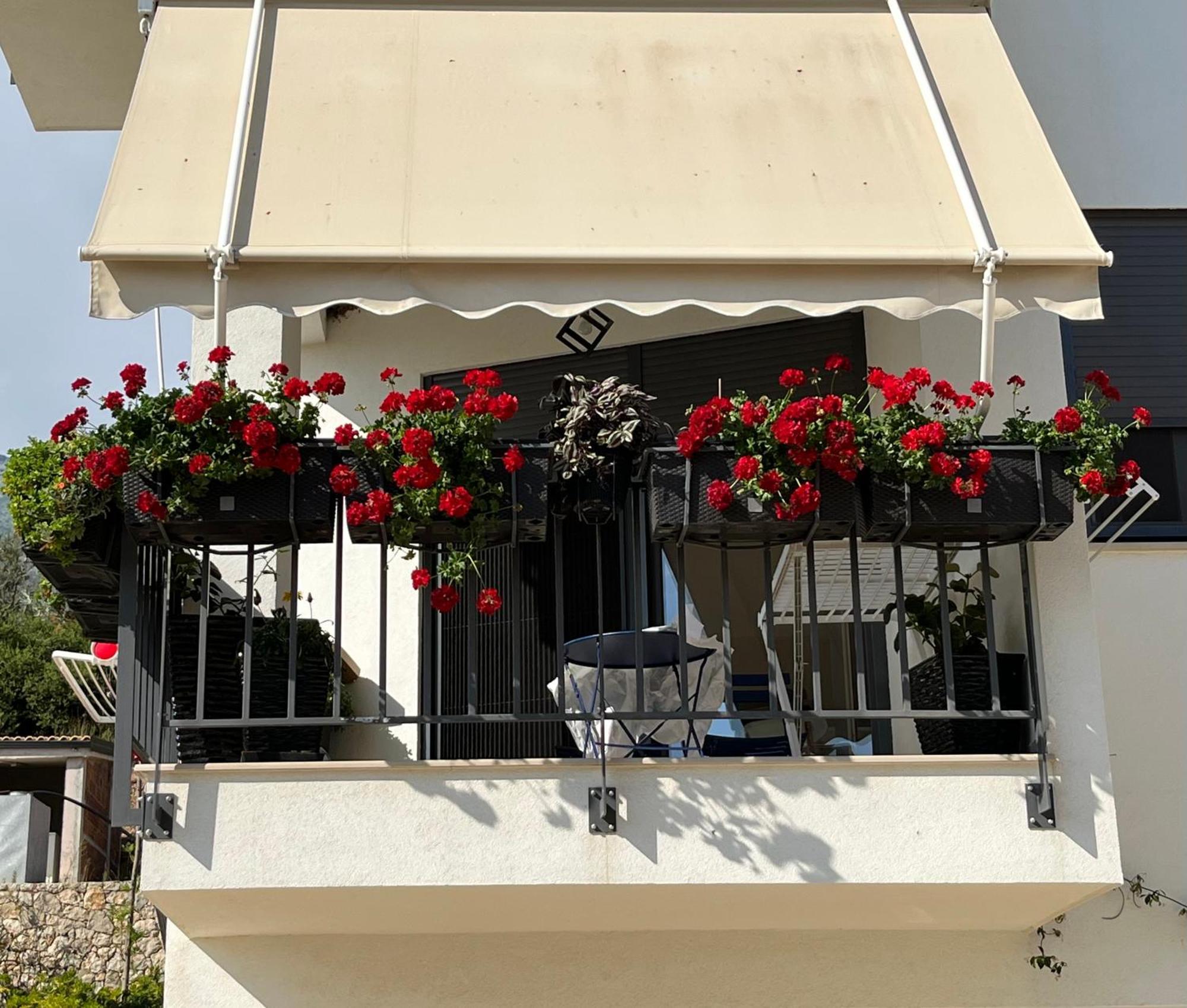 Apartment White Rocks Edera 2 I *