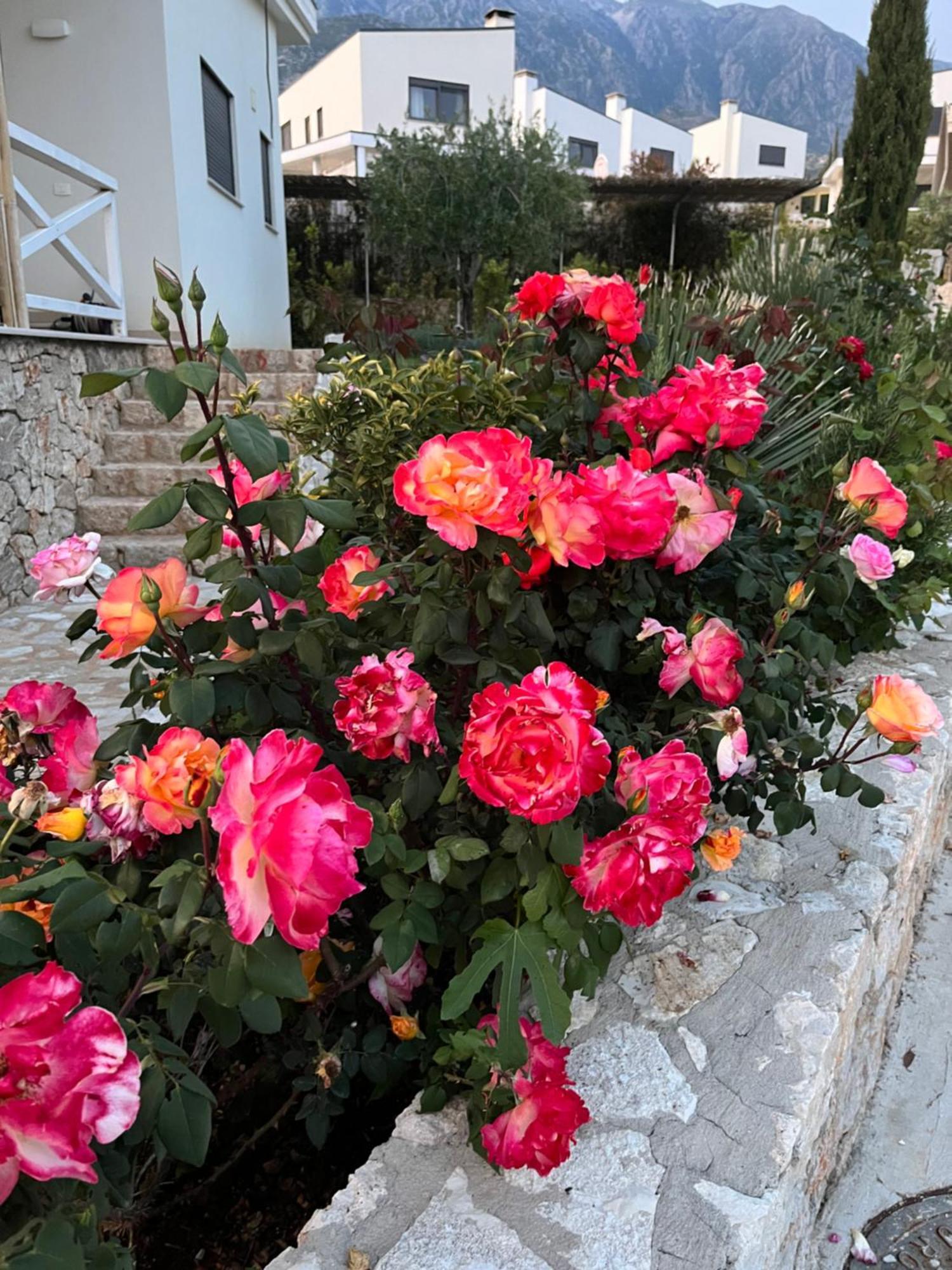 Apartment White Rocks Edera 2 I