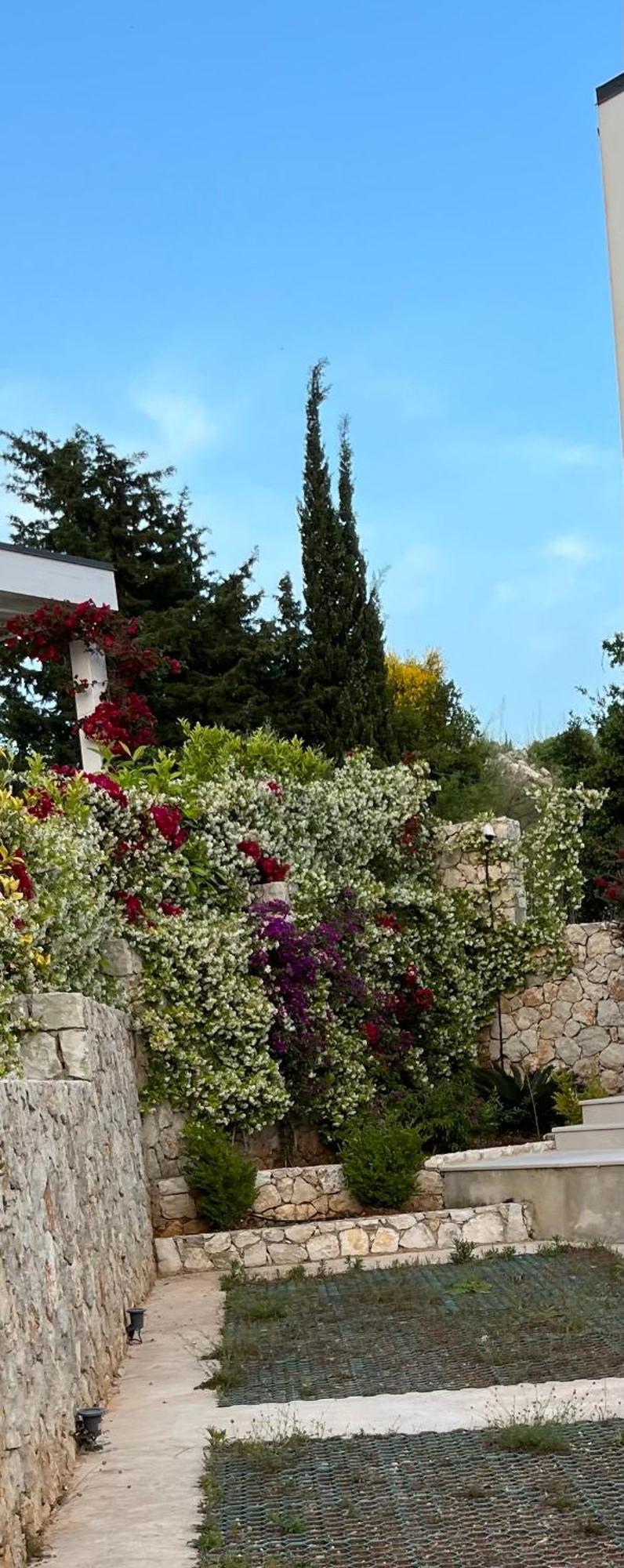 Apartment White Rocks Edera 2 I Dhermi